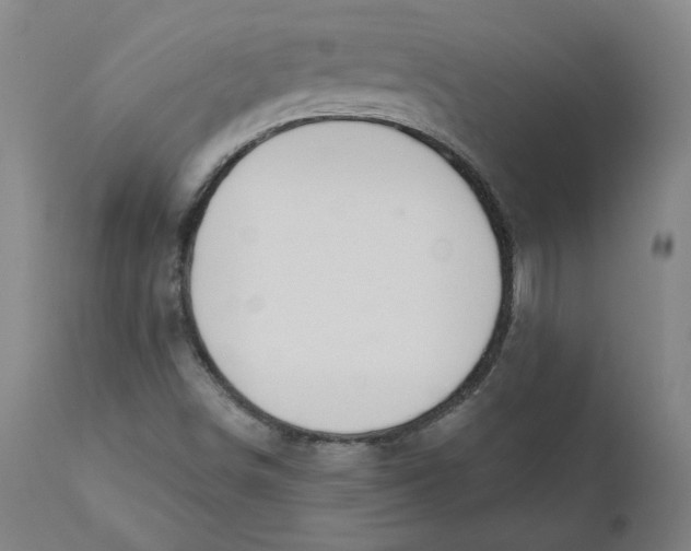 X0000110701498200907021945