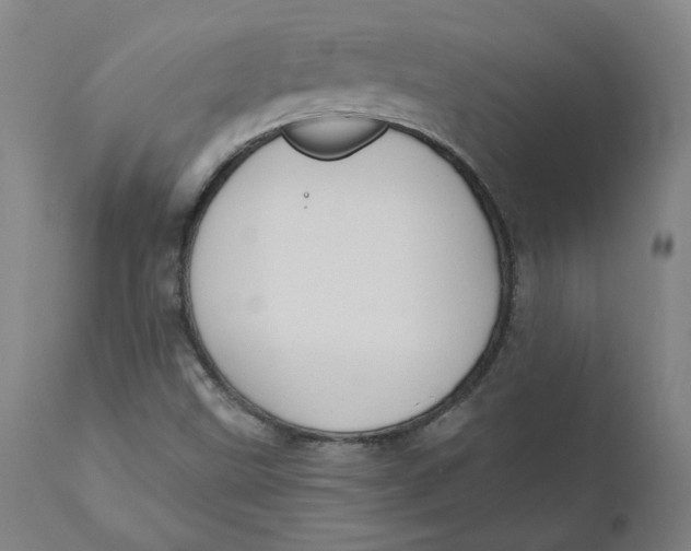 X0000110701499200907021945