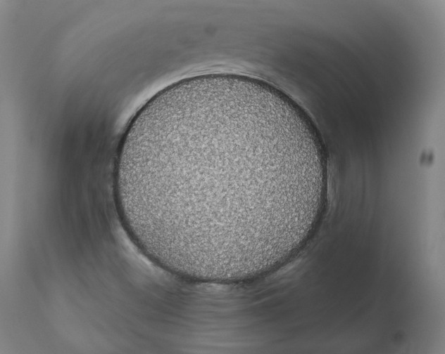 X0000110701500200907021945