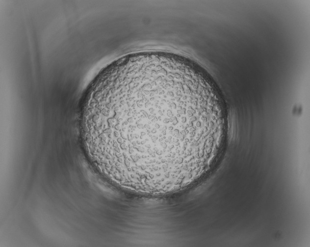 X0000110701501200907021945