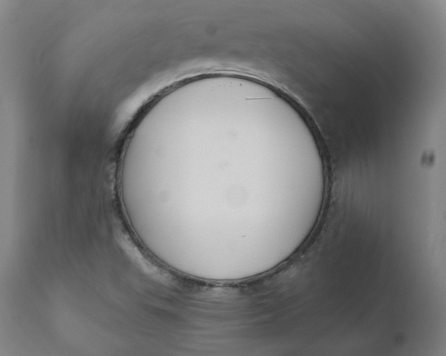 X0000110701503200907021945