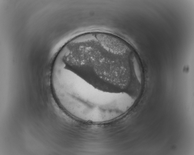 X0000110701504200907021945