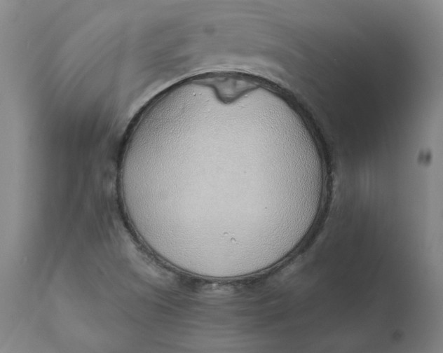 X0000110701505200907021945