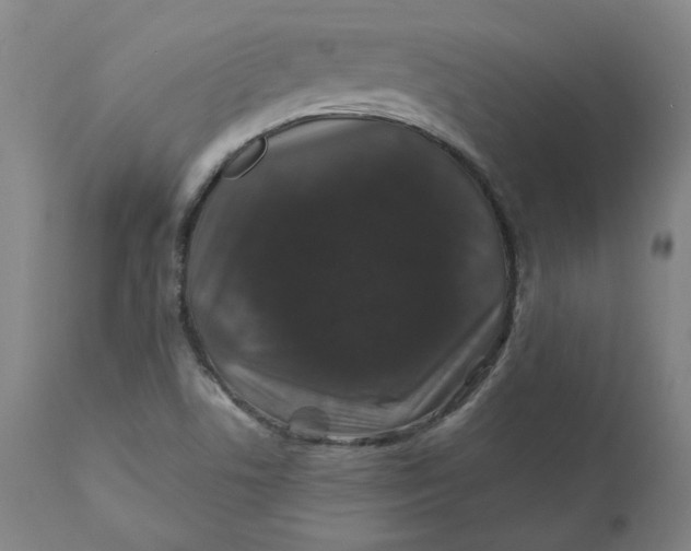 X0000110701506200907021945