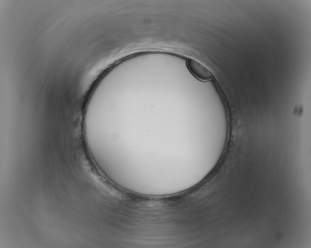 X0000110701507200907021945