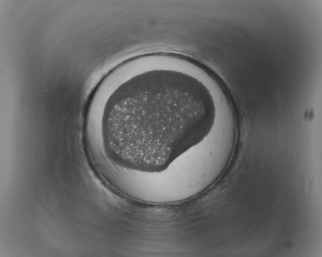 X0000110701508200907021945