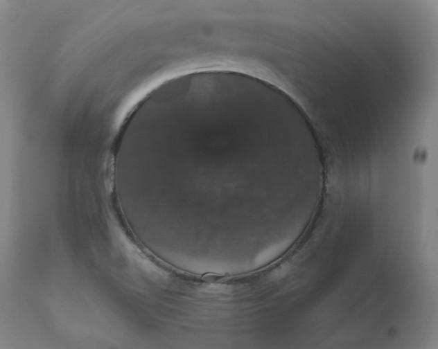 X0000110701510200907021945