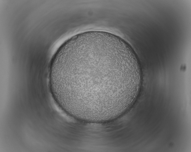 X0000110701511200907021945