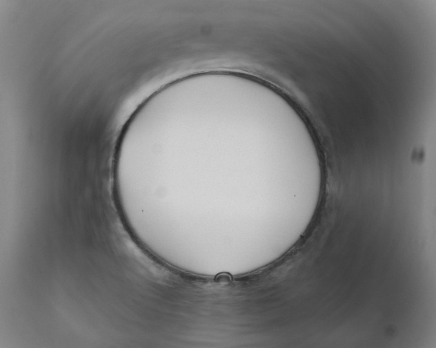 X0000110701512200907021945