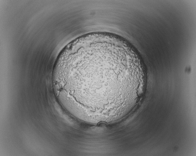 X0000110701513200907021945