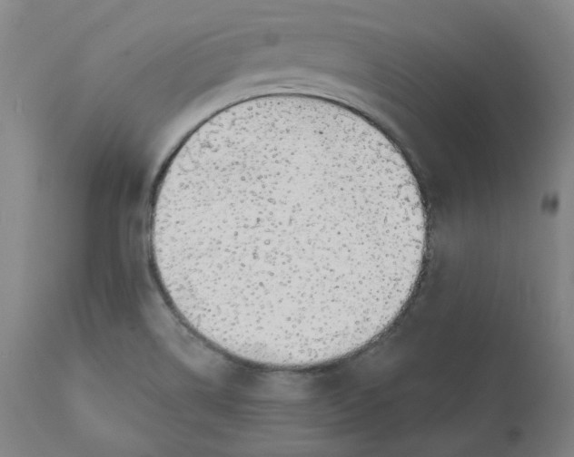 X0000110701514200907021945