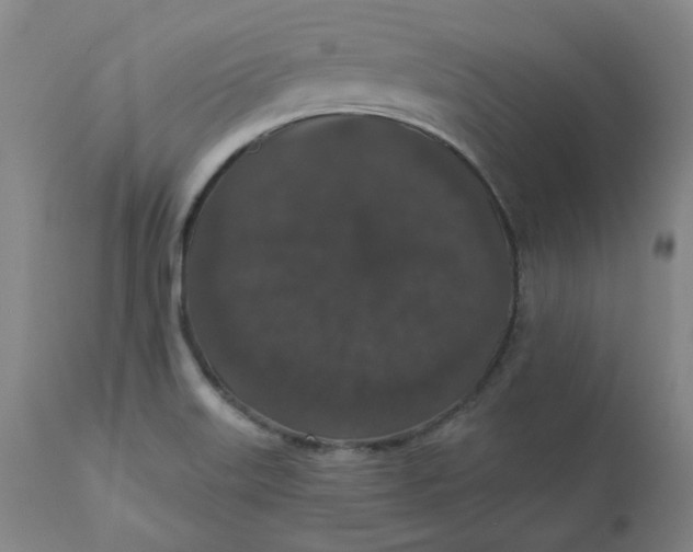 X0000110701515200907021945