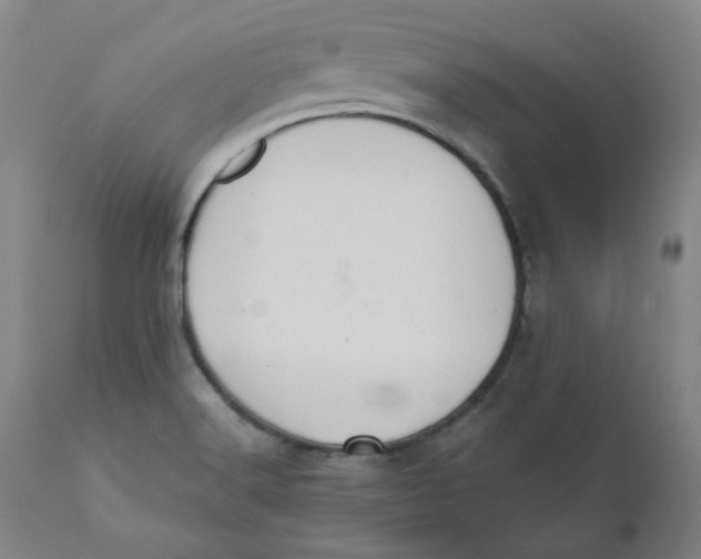 X0000110701516200907021945