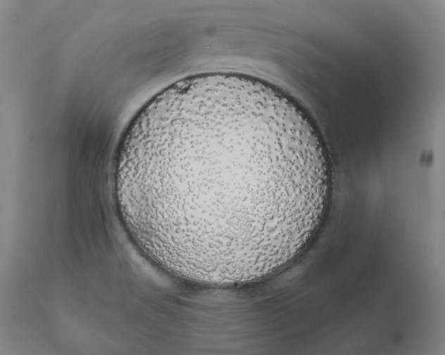 X0000110701517200907021945