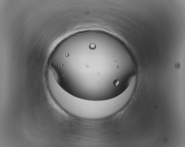 X0000110701518200907021945