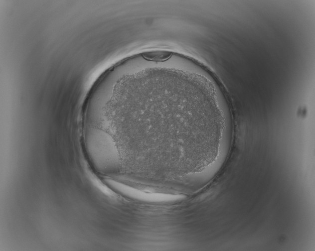 X0000110701519200907021945