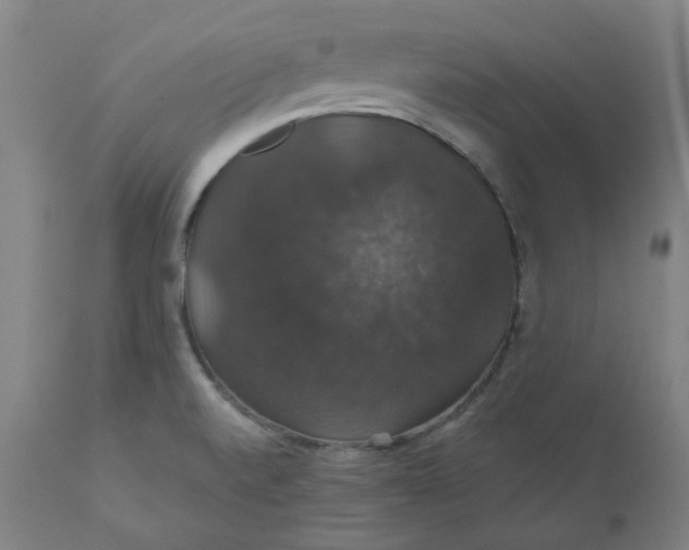 X0000110701520200907021945