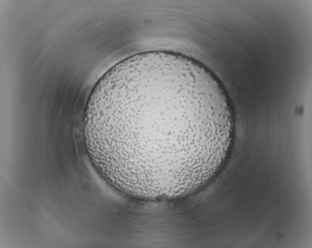 X0000110701521200907021945