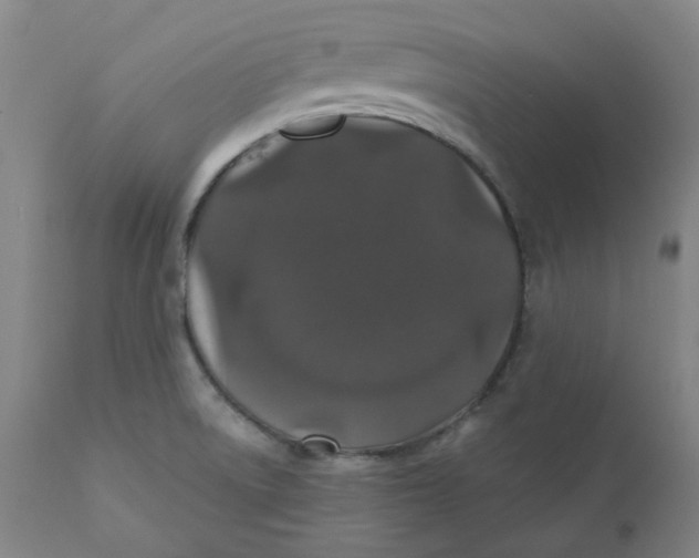 X0000110701522200907021945