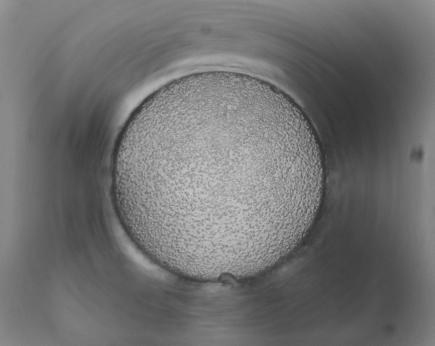 X0000110701523200907021945