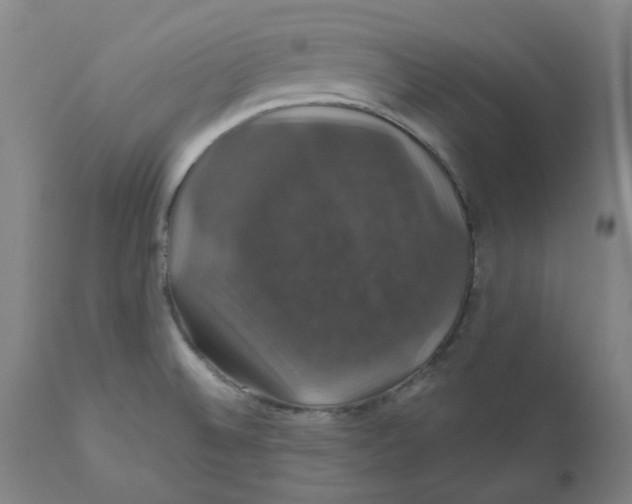 X0000110701524200907021945