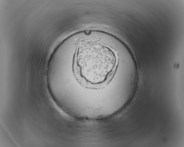 X0000110701525200907021945