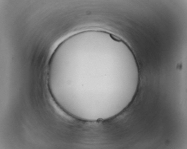 X0000110701526200907021945