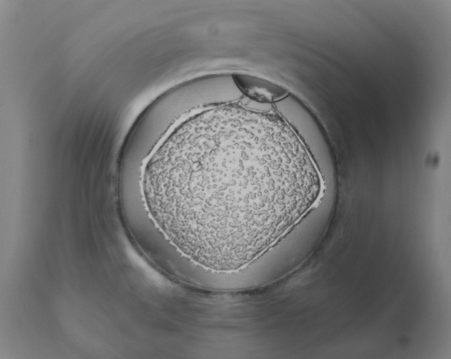 X0000110701527200907021945