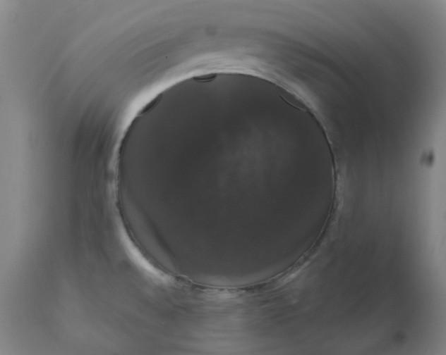 X0000110701528200907021945