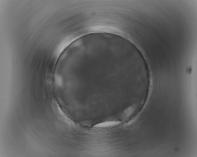 X0000110701529200907021945