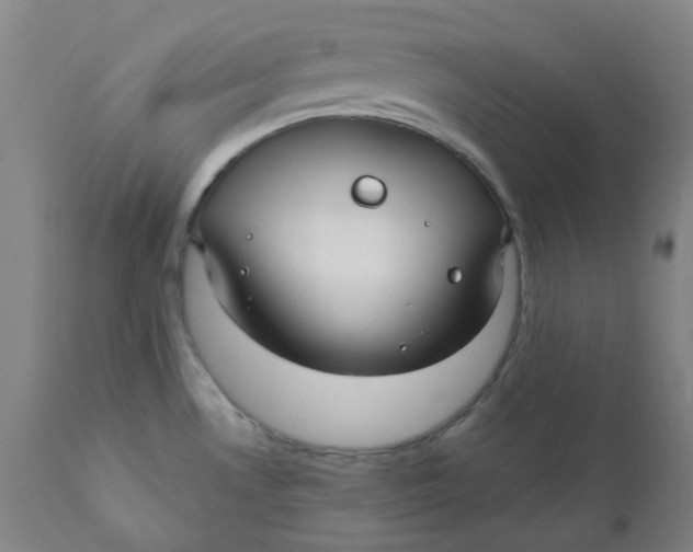 X0000110701530200907021945