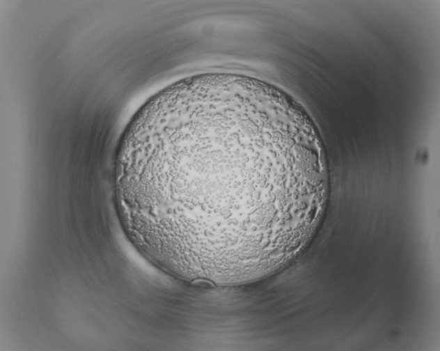 X0000110701531200907021945