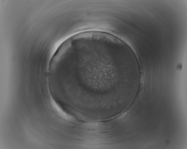 X0000110701532200907021945