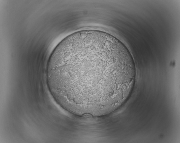 X0000110701533200907021945