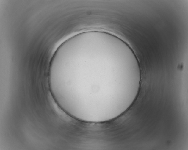 X0000110701534200907021945