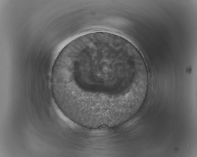 X0000110701535200907021945