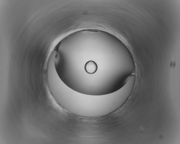 X0000110701536200907021945