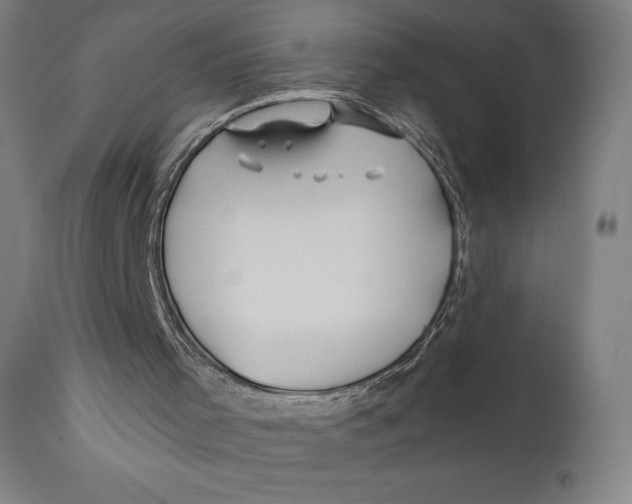 X0000110700001200907101231