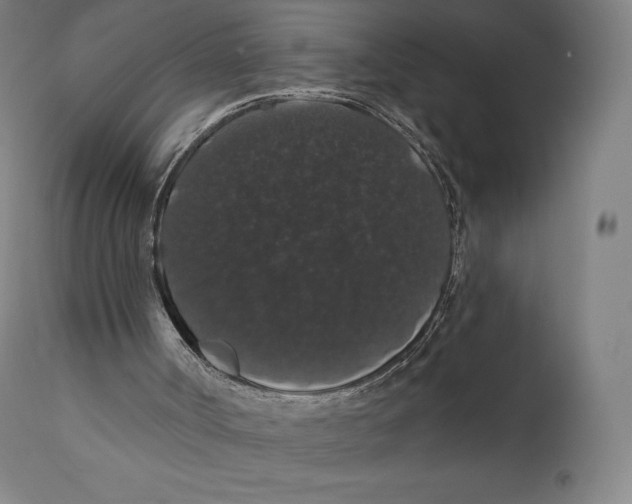 X0000110700002200907101231