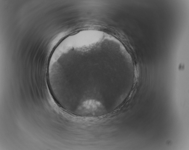 X0000110700003200907101231