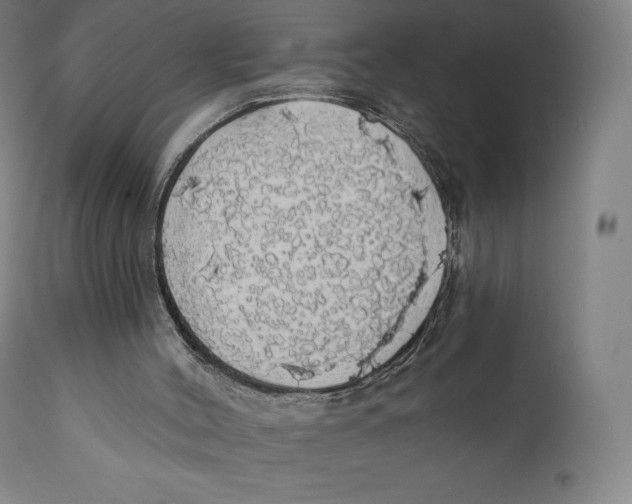 X0000110700004200907101231