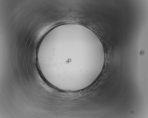 X0000110700005200907101231