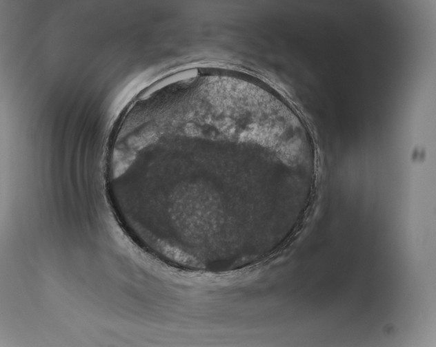 X0000110700007200907101231