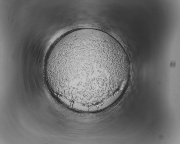 X0000110700008200907101231