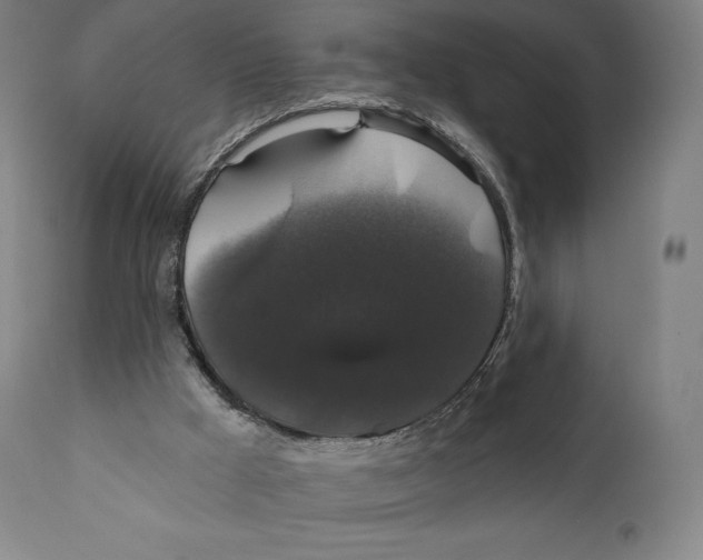 X0000110700009200907101231