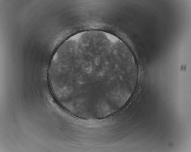 X0000110700010200907101231