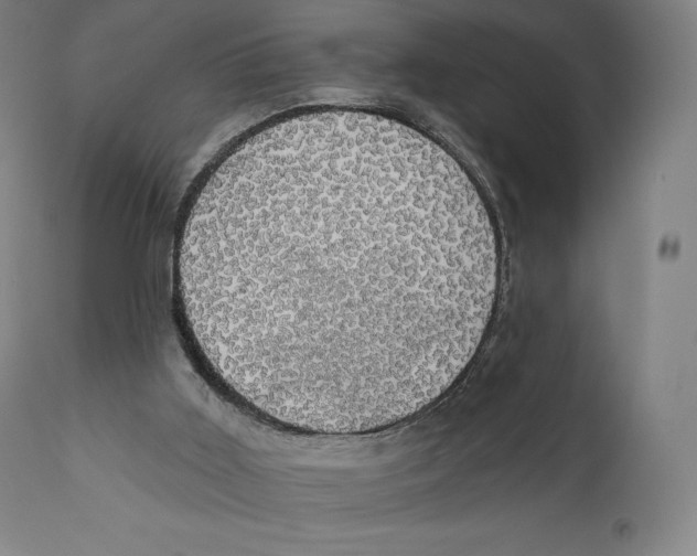 X0000110700011200907101231