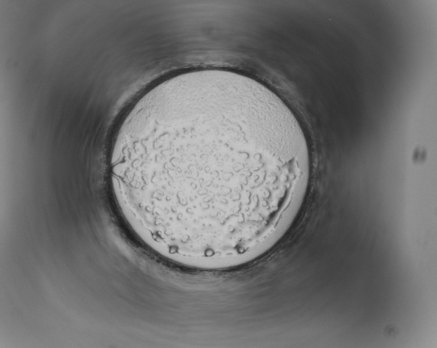 X0000110700012200907101231