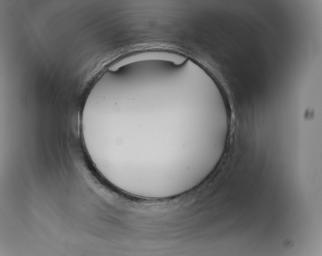 X0000110700013200907101231