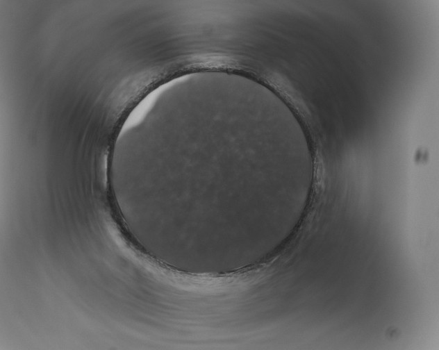 X0000110700014200907101231